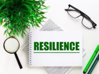 What leads to franchise resilience?